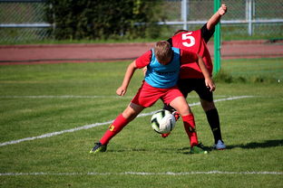 开云体育真人-中国篮球职业联赛俱乐部运营模式创新及管理经验分享，篮球俱乐部运营与管理